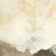 Sierra I by Matera-1677460336