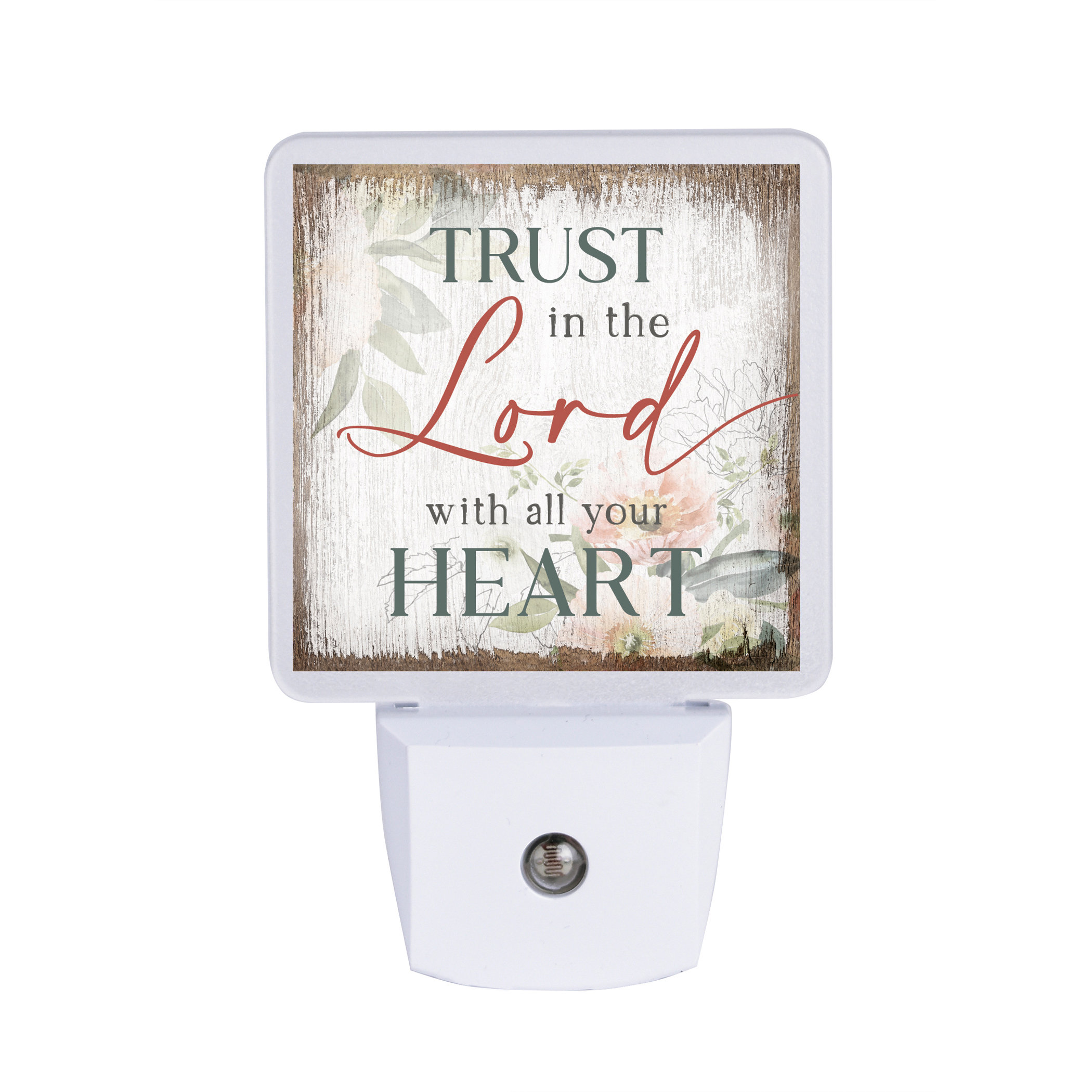 Trust In The Lord {Night Light}