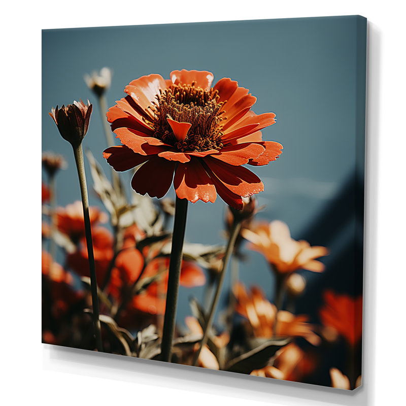 Rayon rouge Zinnias - art mural Zinnias, Toile tendue, H 36 po x l 36 po x P 1,5 po