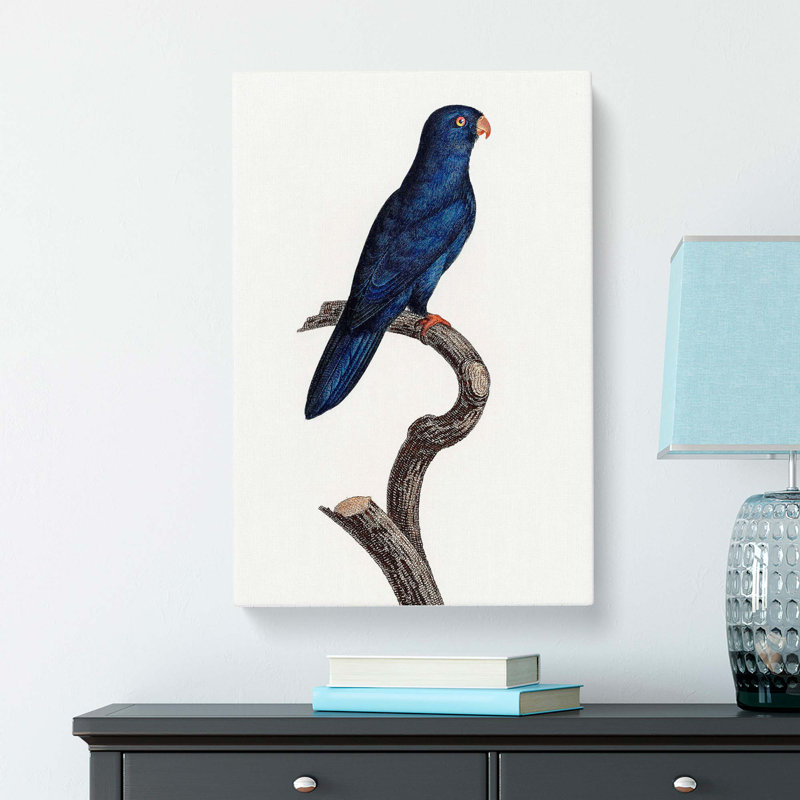 Sparman Parakeet by F. Levaillant - Wrapped Canvas, 60cm H x 40cm W x 3cm D