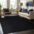 Nadene Dark Gray Indoor Area Rug-1759505908