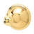 Polished Brass