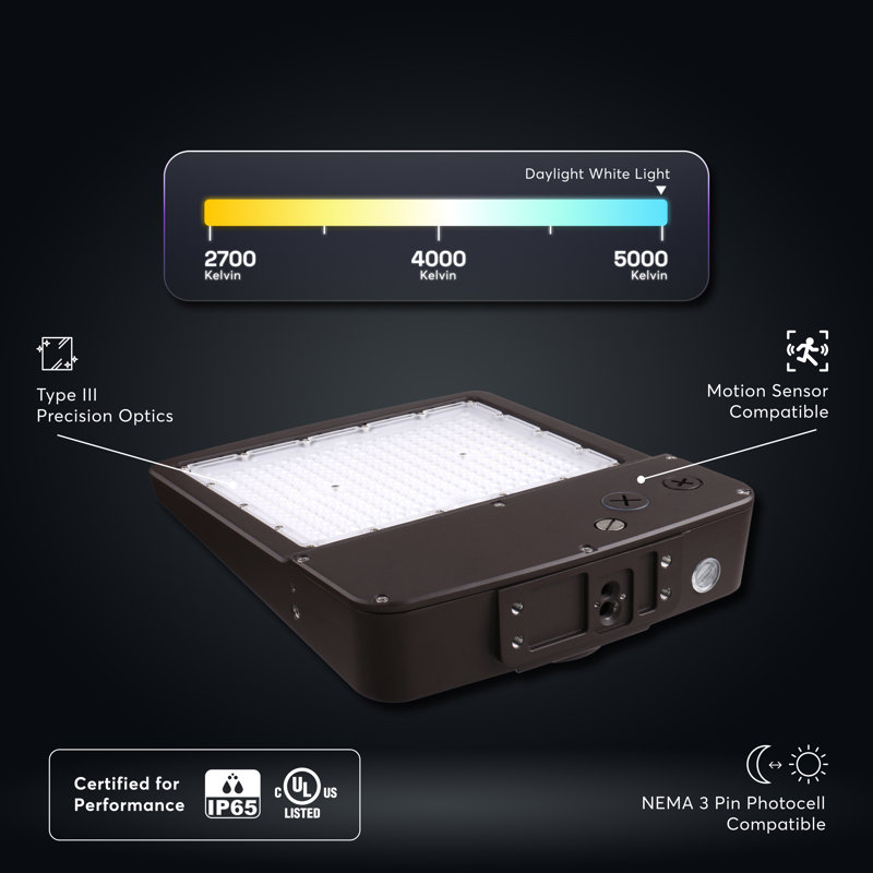 Éclairage de zone - 150 W - 21750 lumens - 5000 K - Monture de culasse - Bronze