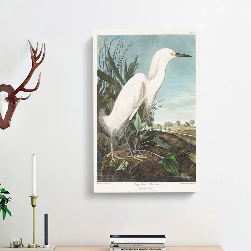 Snowy Heron by John Audubon - Wrapped Canvas Painting, 76cm H x 50cm W x 3cm D