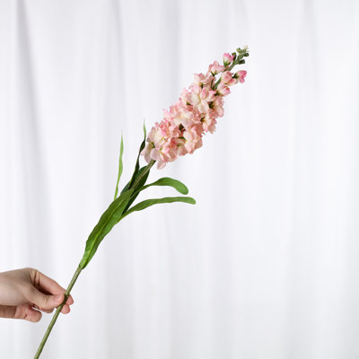Audet Delphinium Stems