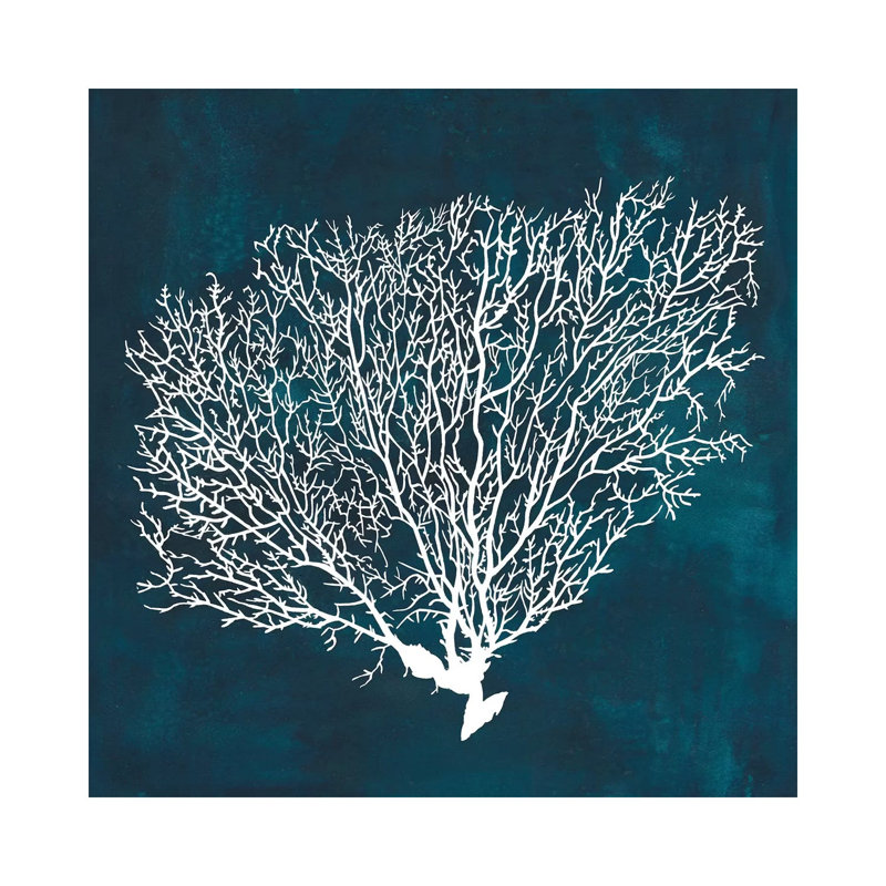Inverse Sea Fan II by Grace Popp - Wrapped Canvas Print, 30.48 cm H x 30.48 cm W