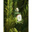 Fruits Diffuser-1215989475