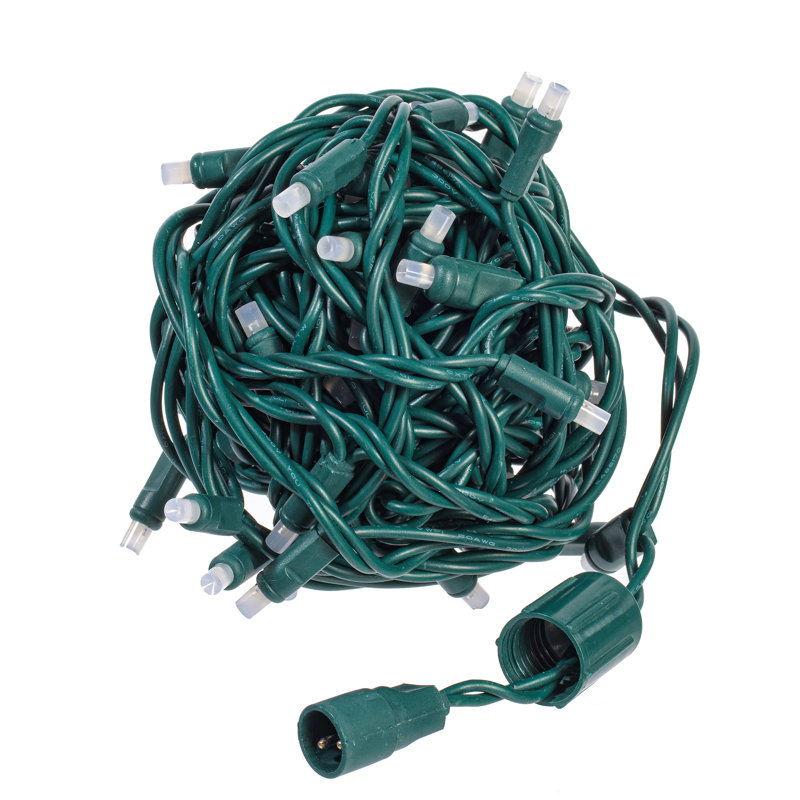 300'' String Lights
