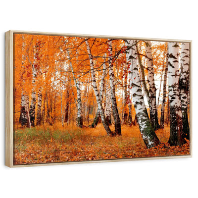 Forêt de bouleaux orange