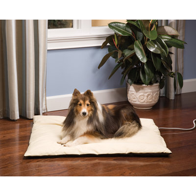 Heated Wellness Cushion Dog Bed