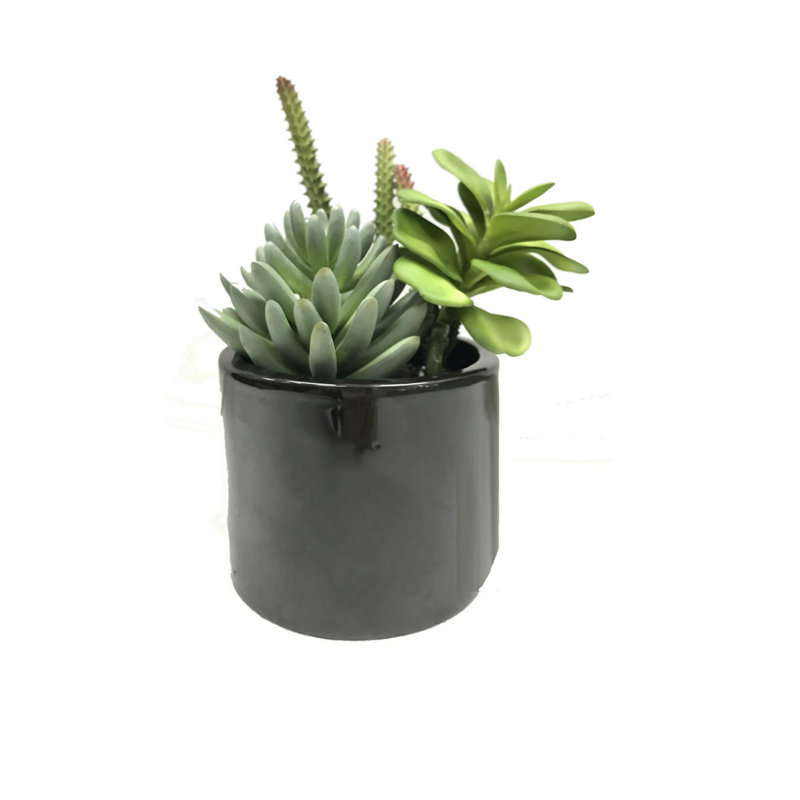 8'' Faux Succulent in Cement Pot