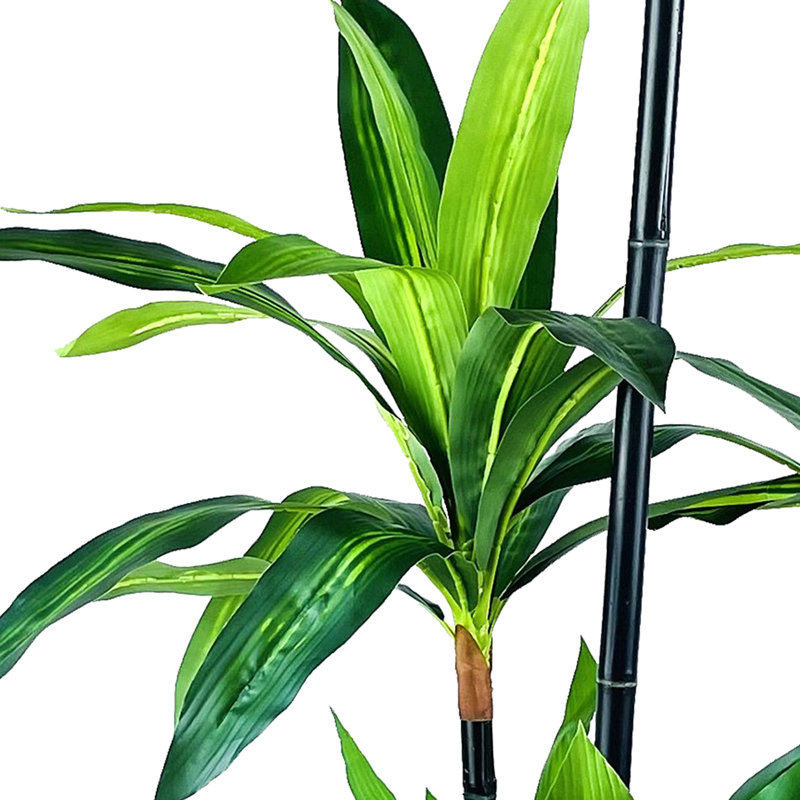 72 po Faux Dracaena