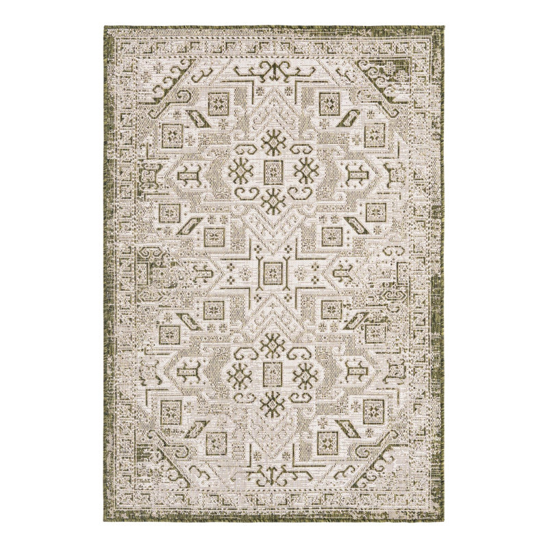 Alvenia Indoor / Outdoor Rug, Rectangle 4' x 6'