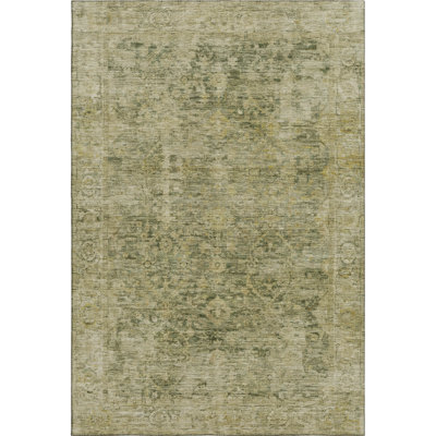 Premium Machine Washable Verlin AMF1773 Border Rug