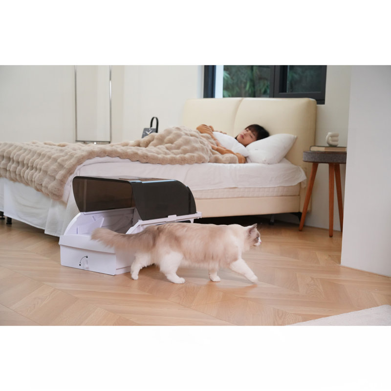 Litière pour chat Smart Smart
