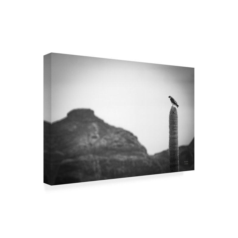  Art mural sur toile Nathan Larson, H 30 po x l 47 po