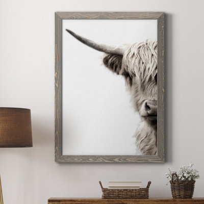 " Highland Cattle "