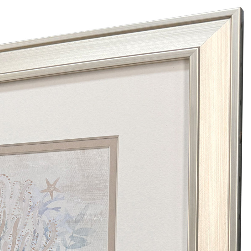 Coral Reef Shells Framed Art