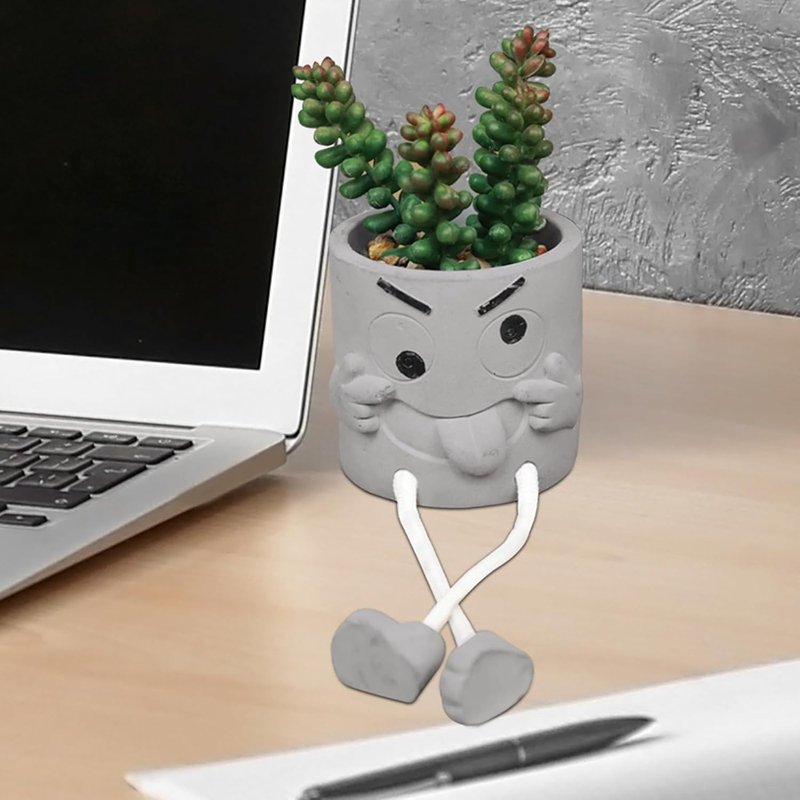 Plantes succulentes artificielles dans des pots en ciment