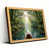 Light Wood