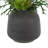 Orchid and Fern Arrangement