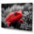 Wrapped Canvas