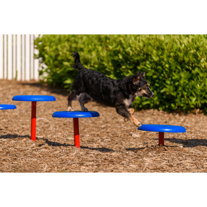 Bark Park Annemarie Stepping Paws, Playful