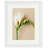 Picture Frame with Mat-79207578