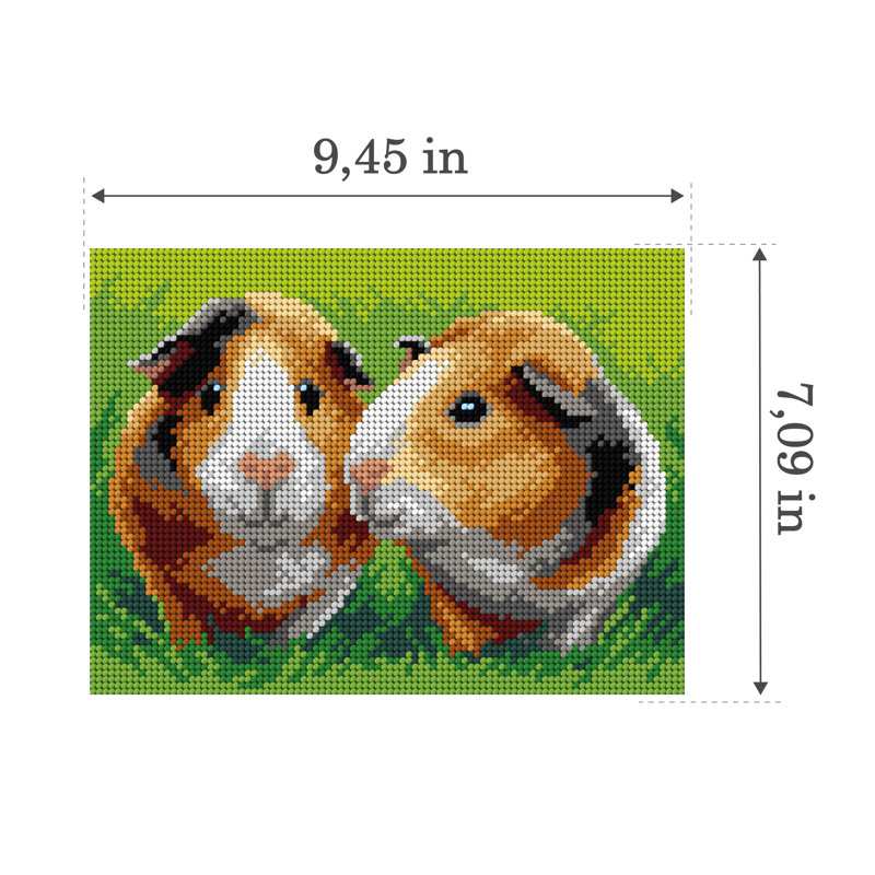 Toile Gobelin pour demi-point sans fil Cochons d'Inde 3615F