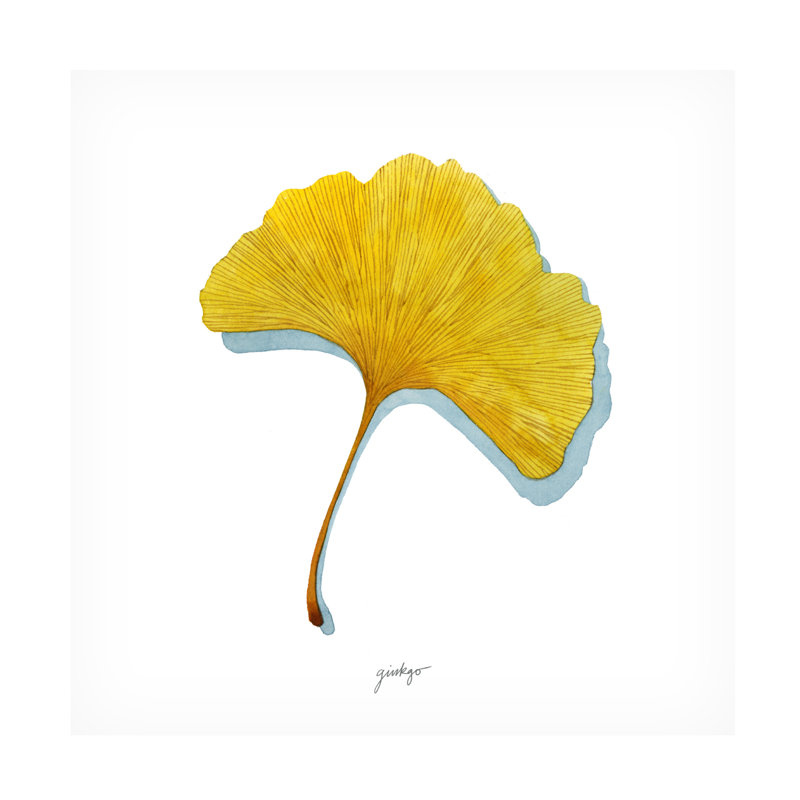 Etude bolognaise «Golden Ginkgo II» par Grace Popp, H 18 po x l 18 po x P 2 po