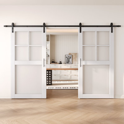 Portes de grange en verre givré non assemblées et non assemblées 48 po x 80 po Homquer
