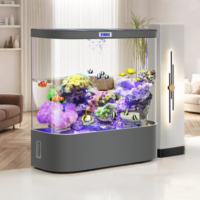 Aquarium de 47,24 po de taille moyenne sans filtre à changement d'eau, aquarium gris