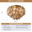 Crystal Ceiling Light-1767449486-1767449484-1755419143