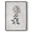 «Vintage Botanical II», reproduction encadrée - bois massif 47084-1135928974