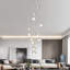 Bigham 12 - Light Cluster Teardrop Pendant-186221836