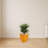 Double Agave Succulent Artificial Plant in Orange Planter