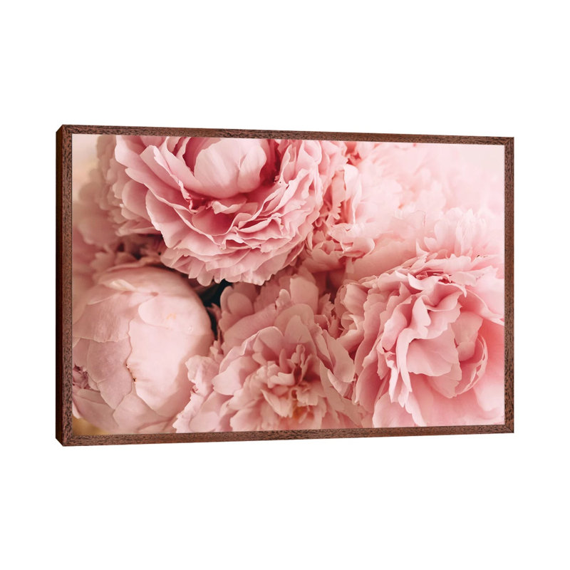 Blush Peonies by Chelsea Victoria - Floater Frame Print on Canvas, 101.6 cm H x 66.04 cm W, Brown