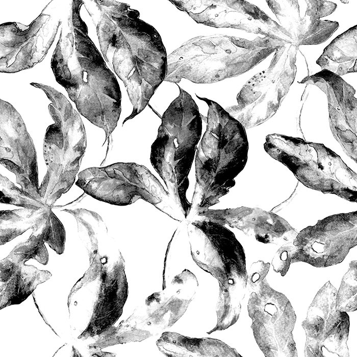Canace 2.5m x 2.5m Matte Mural, 312 x 219cm