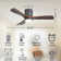 42.5" 3 - Blade Dimmable LED Light Standard Ceiling Fan with Remote Control and Light Kit Included