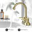 Centerset 2-handle Bathroom Faucet with Drain Assembly-90958615