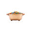 Bol à salade à salade à bordures et cuillère 10 oz. Oboyle-294374341