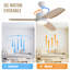 Ventilateur de plafond 46 pouces avec lumières 3 pales ABS 6 vitesses moteur à télécommande pour la chambre à coucher