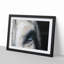Eye of a White Horse in Abstract - Picture Frame Graphic Art Print-55725954-55725958
