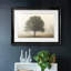 Arbres dans le brouillard I-190596852-190596859