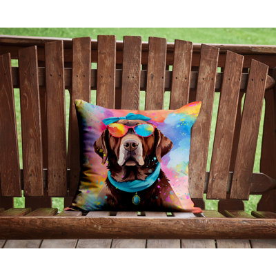 Other/No Pattern Outdoor Throw Pillow