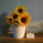 Paquet de 2 pots à fleurs en métal blanc Hosley, 5 po de diamètre x 4,8 po de hauteur, pour les arrangements floraux, les mariages, les fêtes, les événements et la décoration intérieure-267514638-267514636