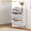 12 Pair Flip Down Shoe Storage
