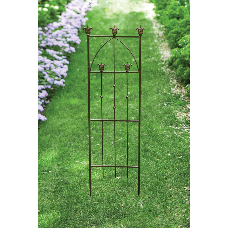 Hearthers Trellis 4 '