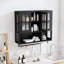 Armoire murale de salle de bain-1755667414