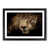 Black Single Picture Frame Wood